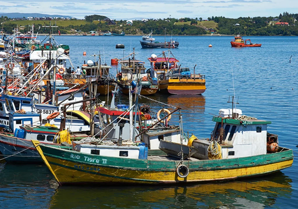 Areas desarrollo local